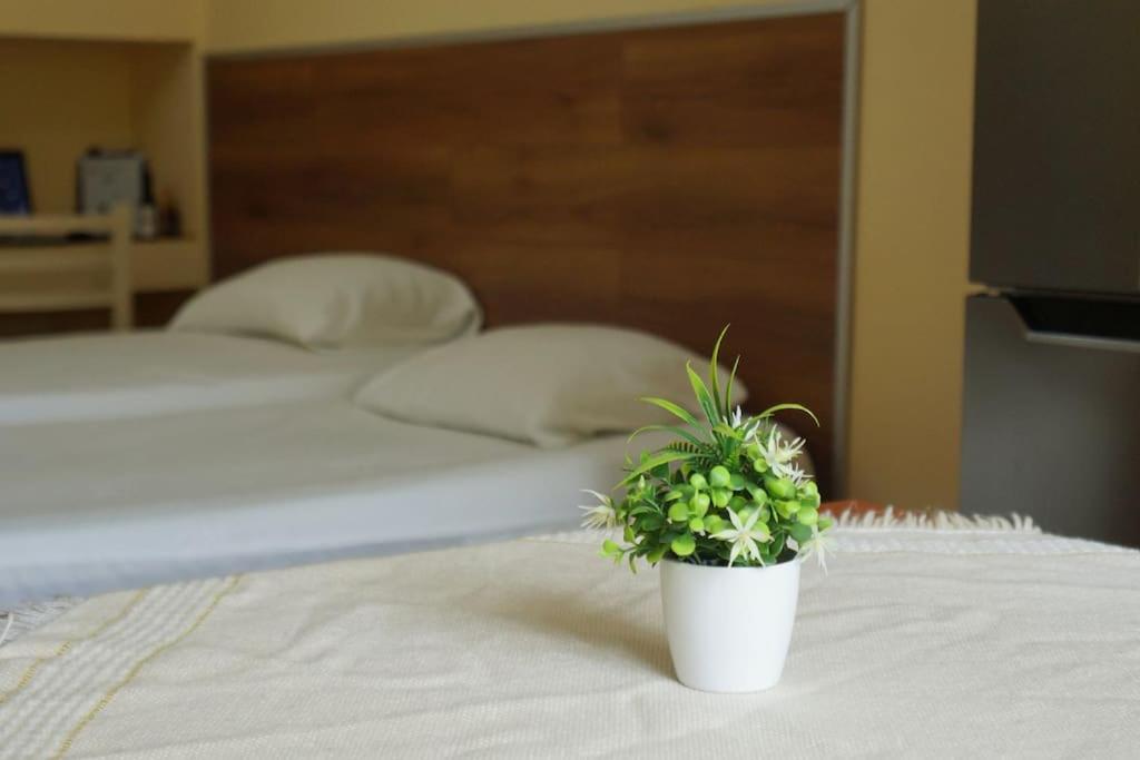 Alle'S M Shyri Studio Apartment تيرانا المظهر الخارجي الصورة
