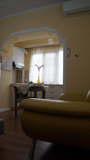 Alle'S M Shyri Studio Apartment تيرانا المظهر الخارجي الصورة