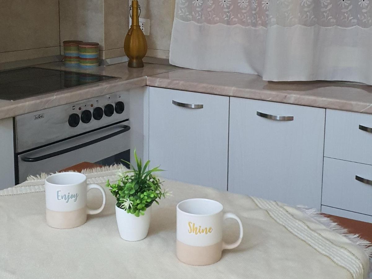 Alle'S M Shyri Studio Apartment تيرانا المظهر الخارجي الصورة