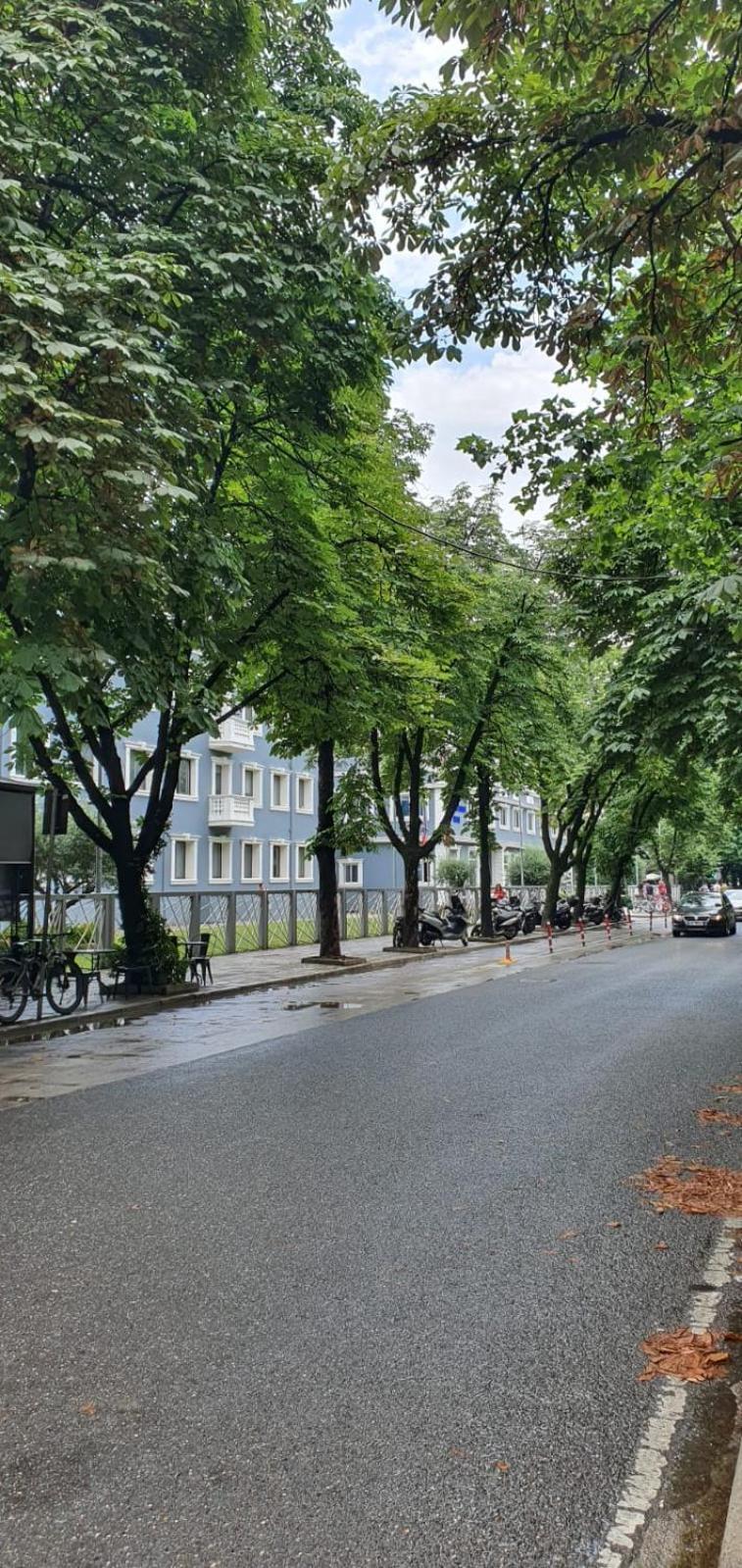 Alle'S M Shyri Studio Apartment تيرانا المظهر الخارجي الصورة