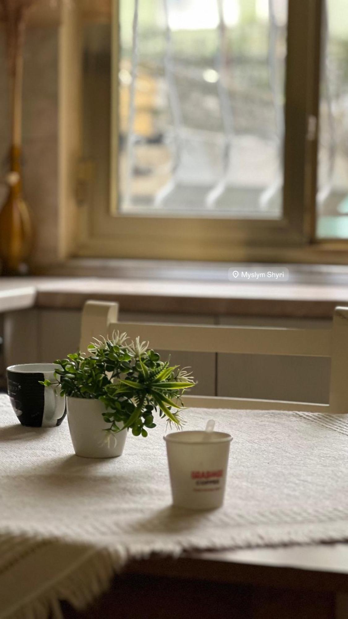 Alle'S M Shyri Studio Apartment تيرانا المظهر الخارجي الصورة
